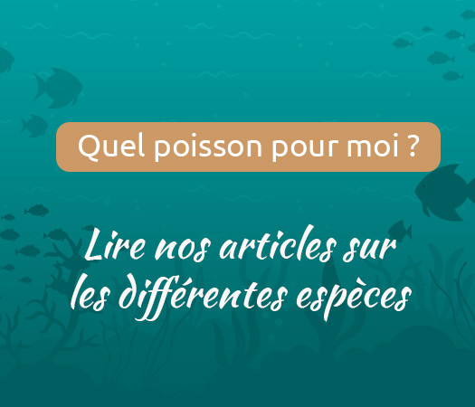 Quel poisson pour moi ?